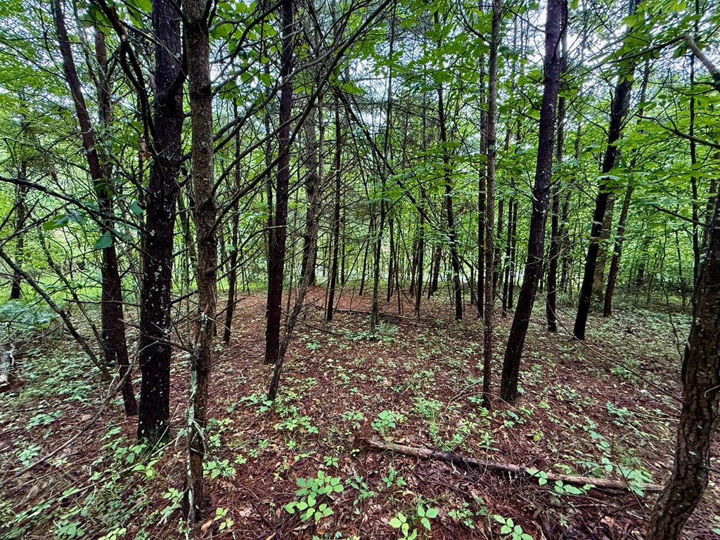 12 Brookhaven Property Photo 21