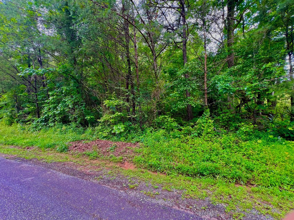 12 Brookhaven Property Photo 23