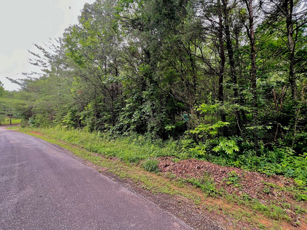 12 Brookhaven Property Photo 26