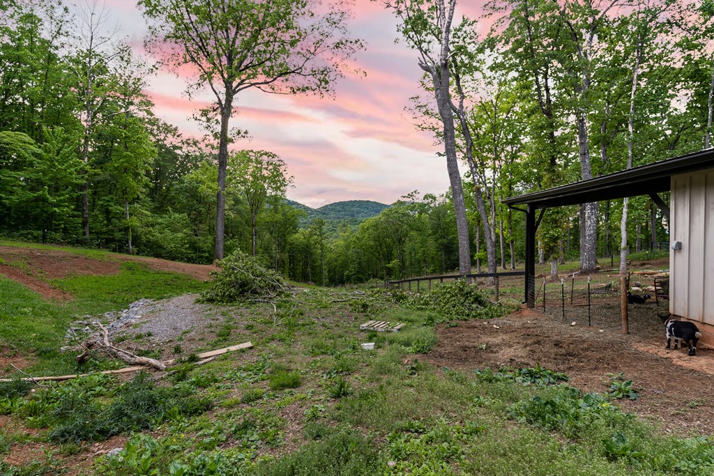Lot 11 Conners Ridge Road Property Photo 8