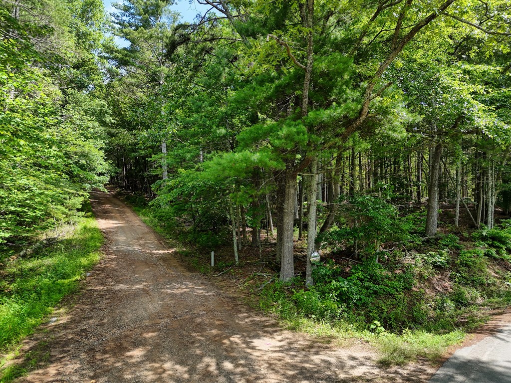 9.48acre Doc Jones Road Property Photo 3