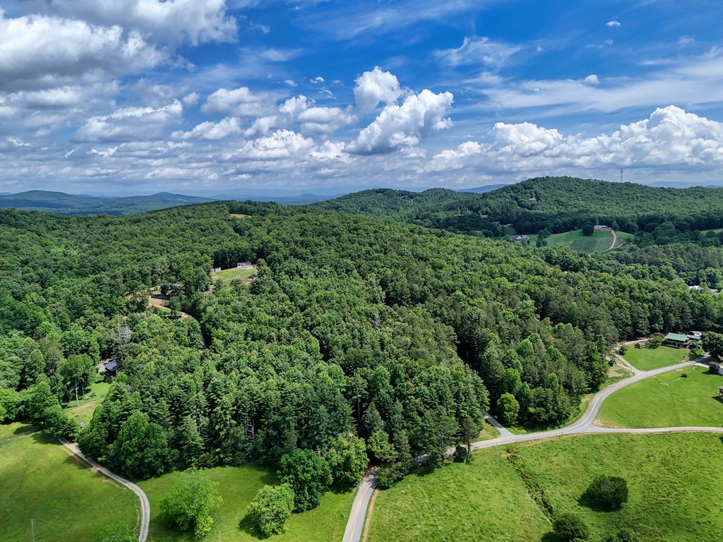 9.48acre Doc Jones Road Property Photo 4