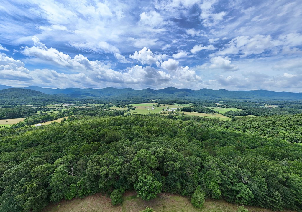 9.48acre Doc Jones Road Property Photo 8