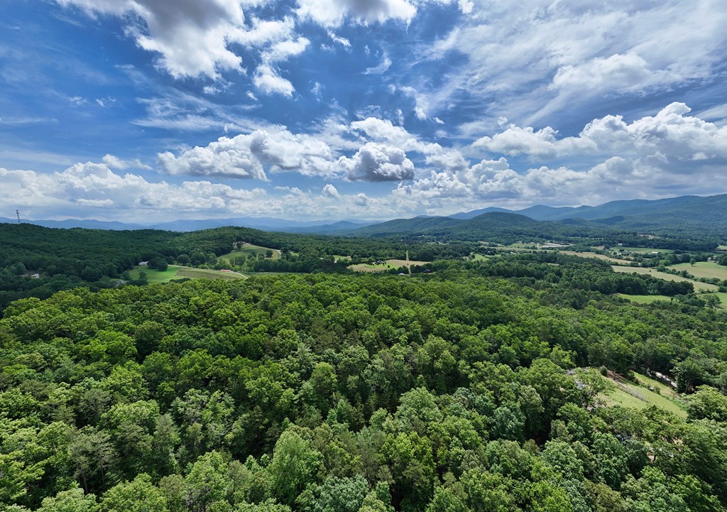 9.48acre Doc Jones Road Property Photo 9