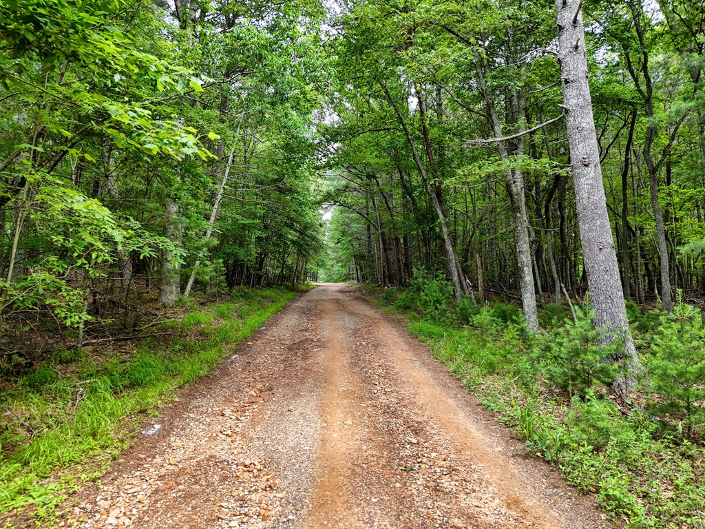 9.48acre Doc Jones Road Property Photo 12