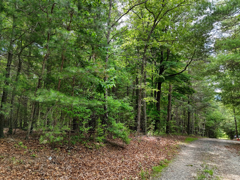 9.48acre Doc Jones Road Property Photo 15
