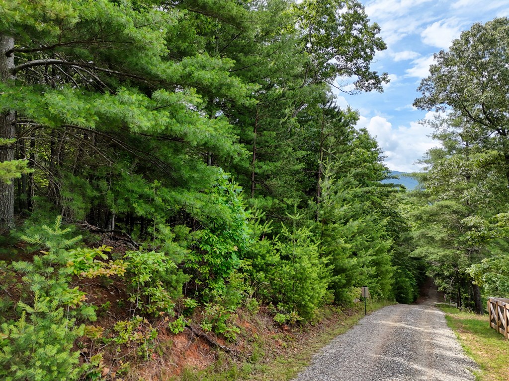 9.48acre Doc Jones Road Property Photo 16