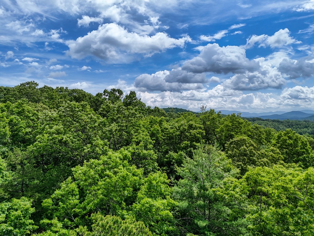 9.48acre Doc Jones Road Property Photo 17