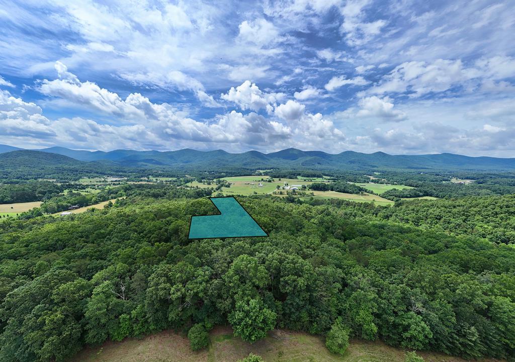 9.48acre Doc Jones Road Property Photo 19