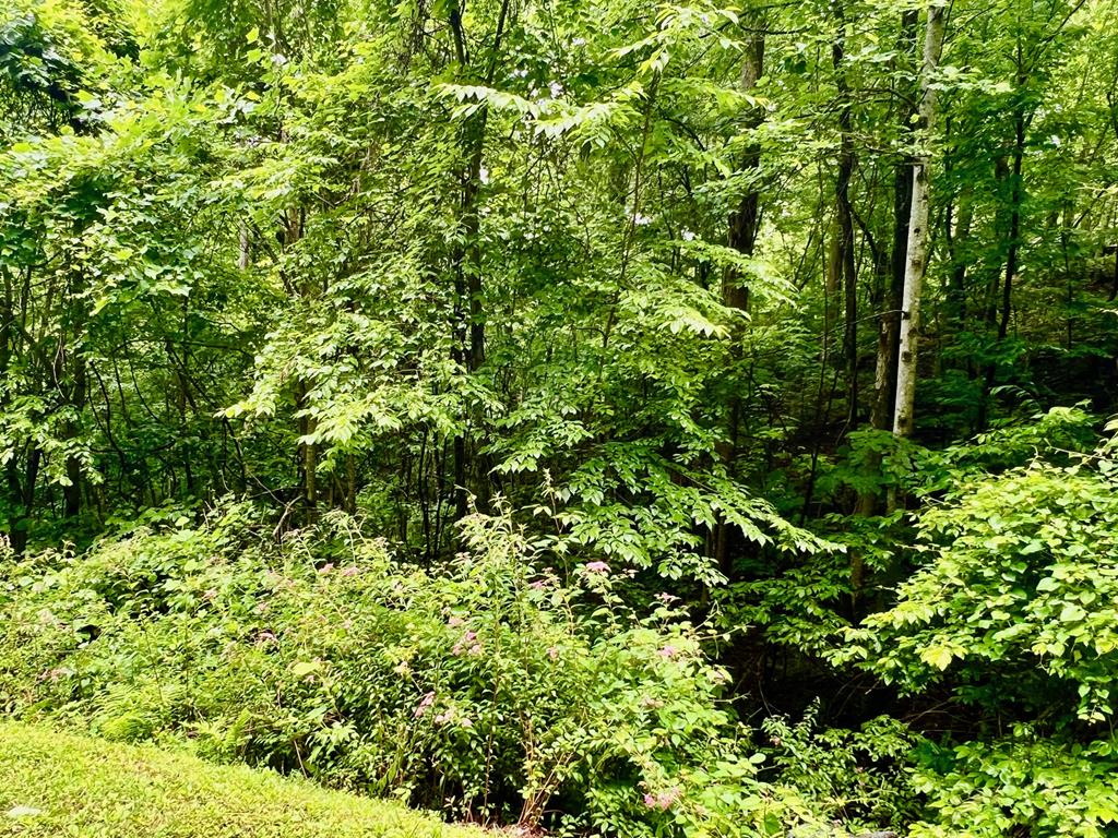 8 Black Bear Trail Property Photo 1