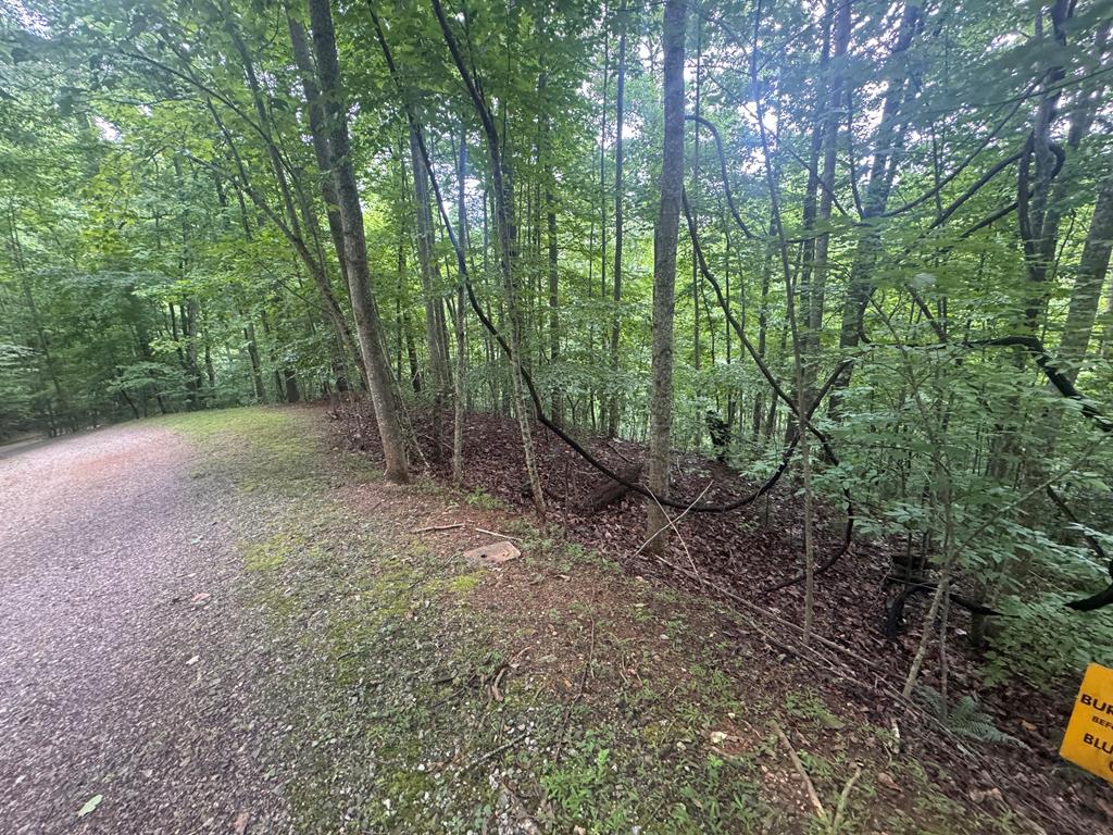 Lot 31 Highland Forge Lane Property Photo 1