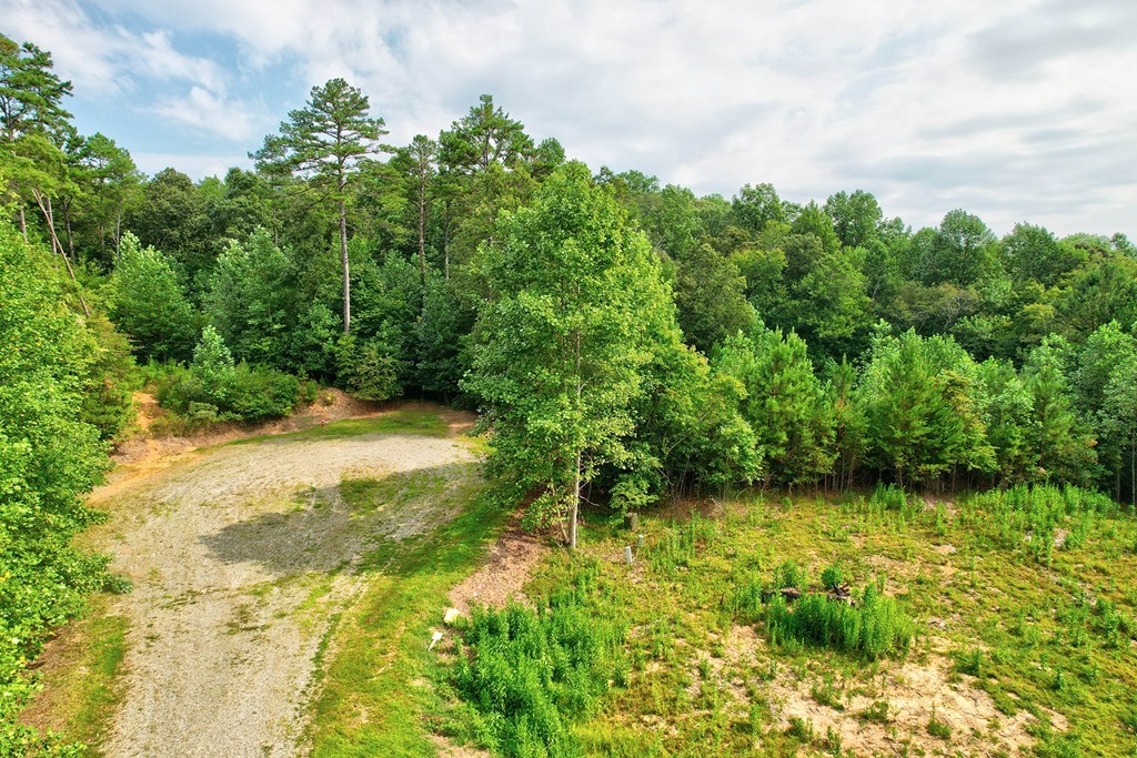 Lt 73 River Ridge Property Photo 2