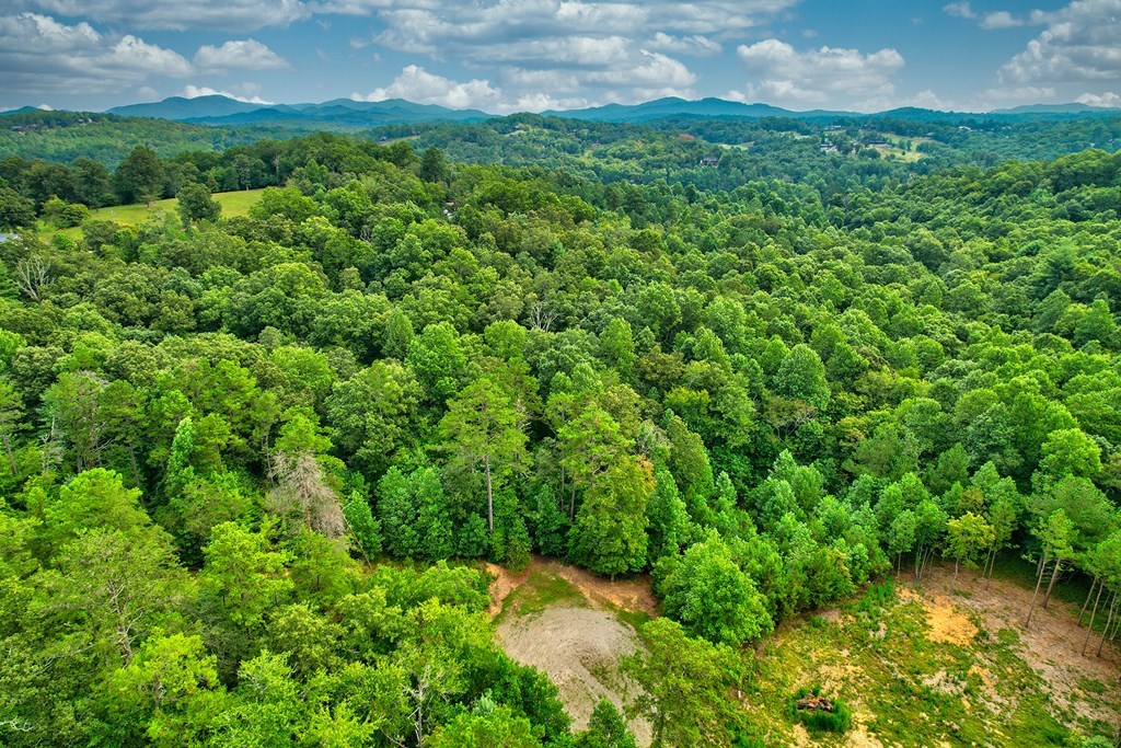 Lt 73 River Ridge Property Photo 4