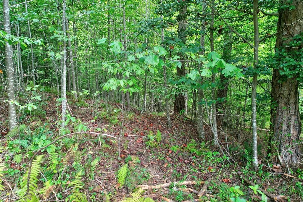 Lt 73 River Ridge Property Photo 6