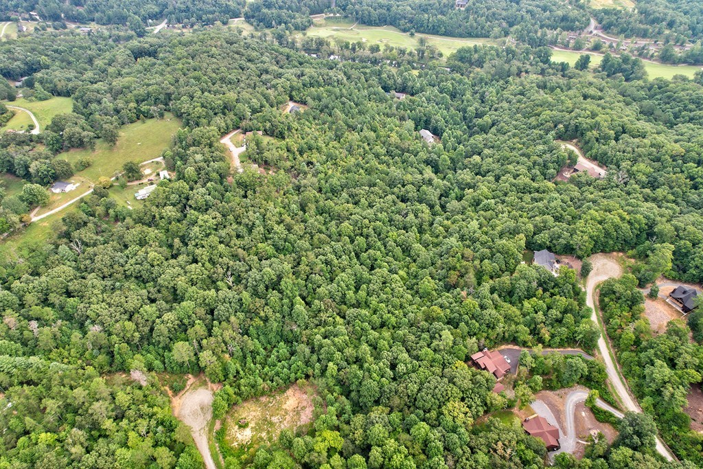 Lt 73 River Ridge Property Photo 9