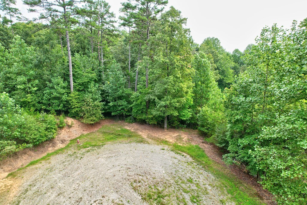 Lt 73 River Ridge Property Photo 10