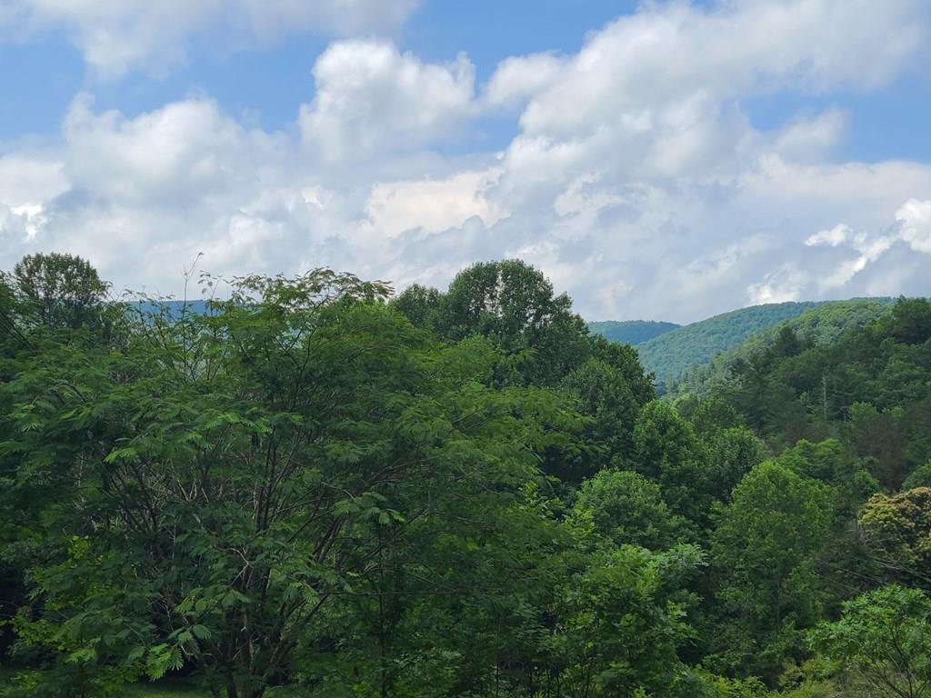 0000 Big Creek Road Property Photo 1