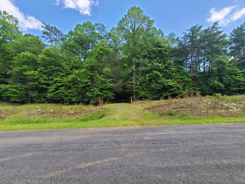 0000 Big Creek Road Property Photo 2