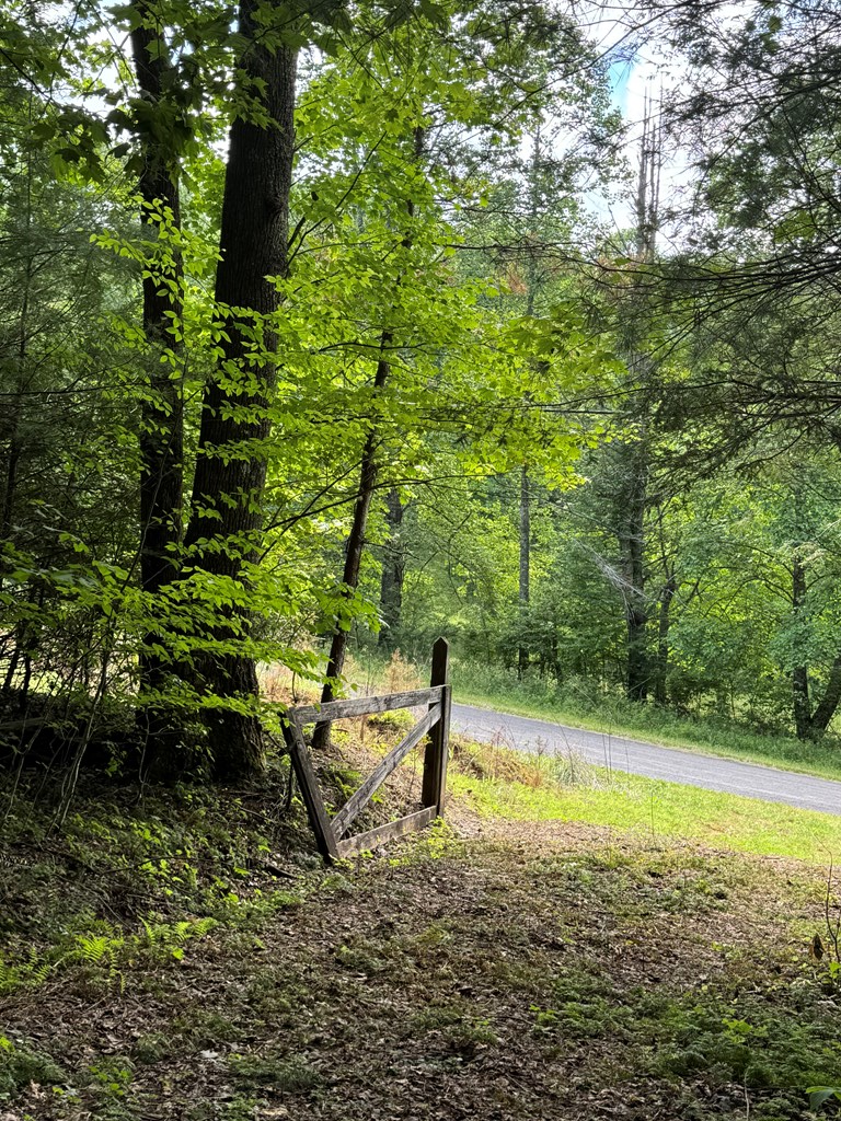 0000 Big Creek Road Property Photo 3