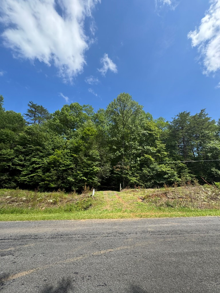 0000 Big Creek Road Property Photo 8