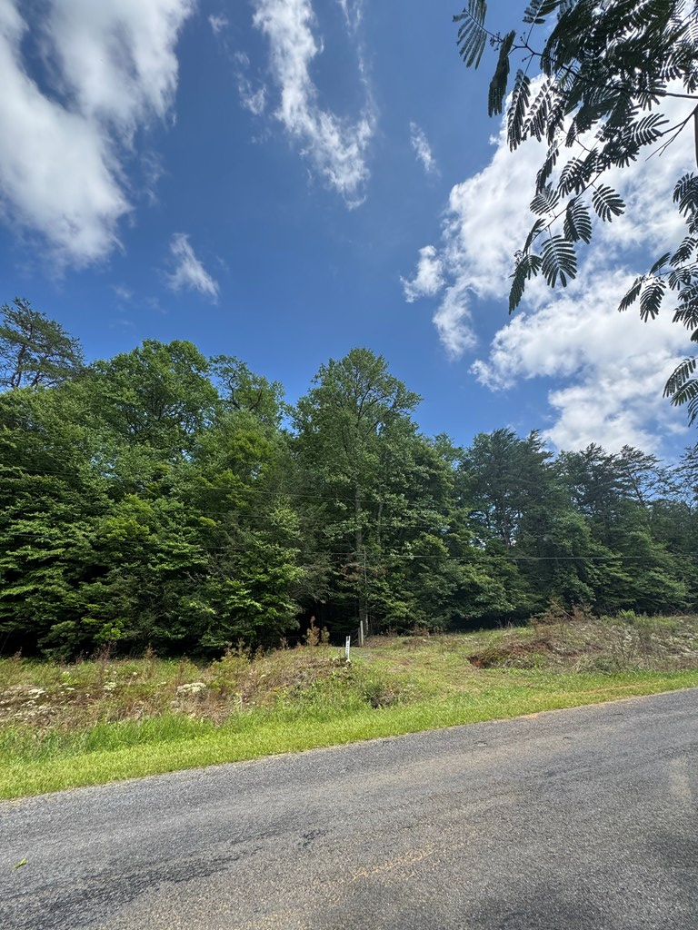 0000 Big Creek Road Property Photo 9