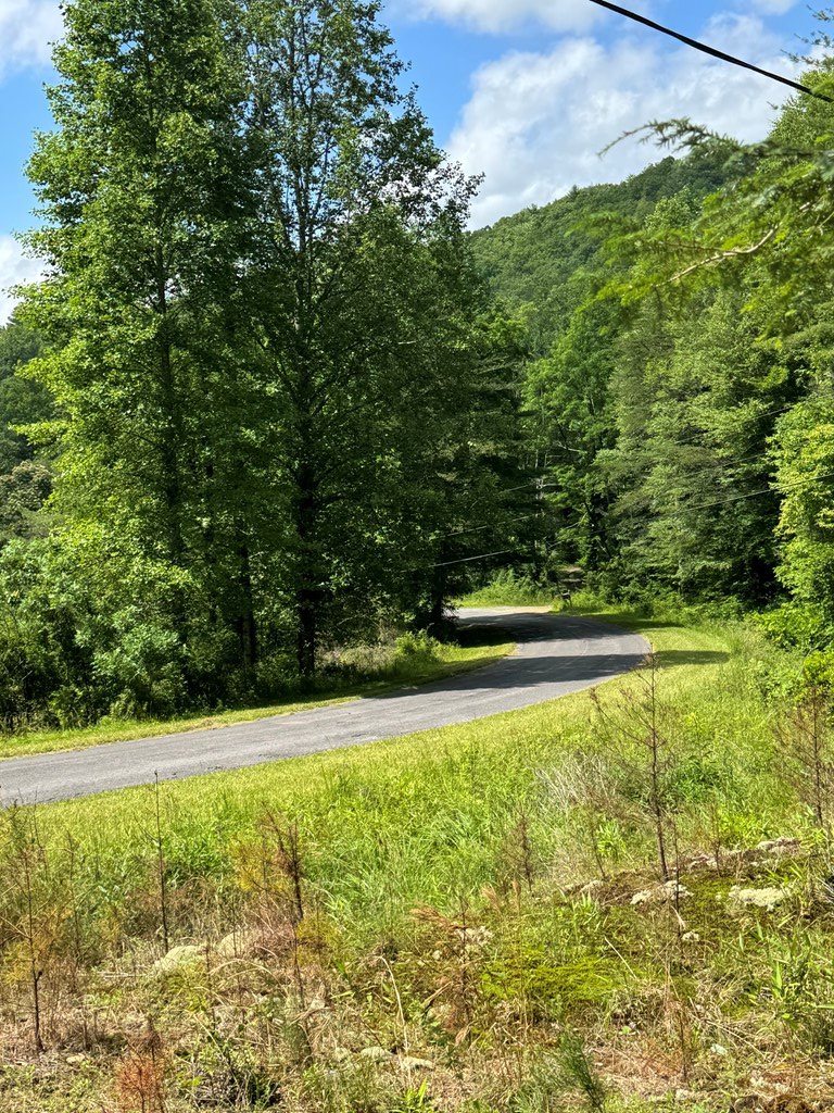 0000 Big Creek Road Property Photo 10