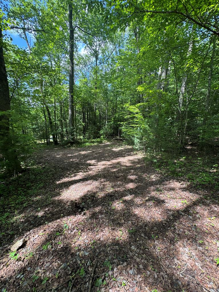 0000 Big Creek Road Property Photo 16