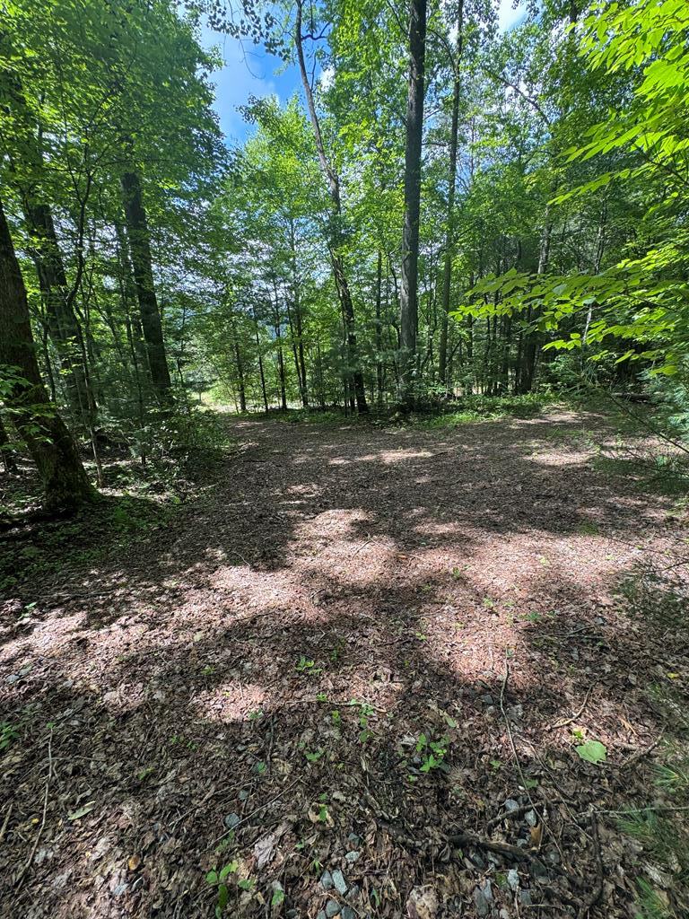 0000 Big Creek Road Property Photo 17