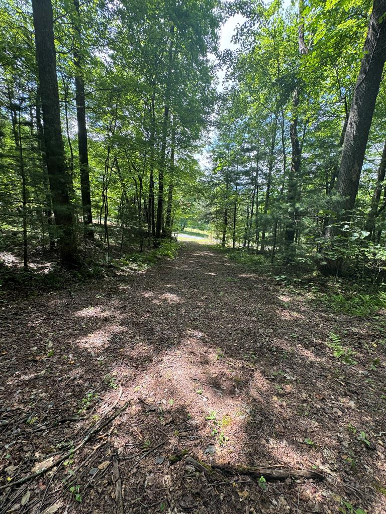 0000 Big Creek Road Property Photo 18