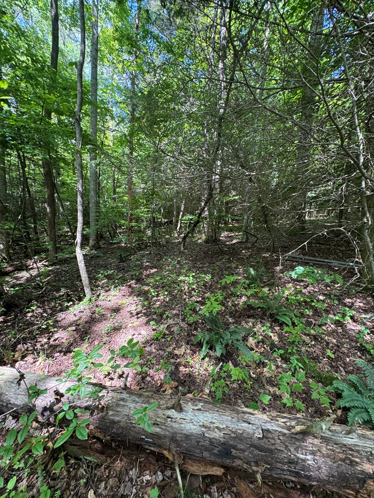 0000 Big Creek Road Property Photo 19