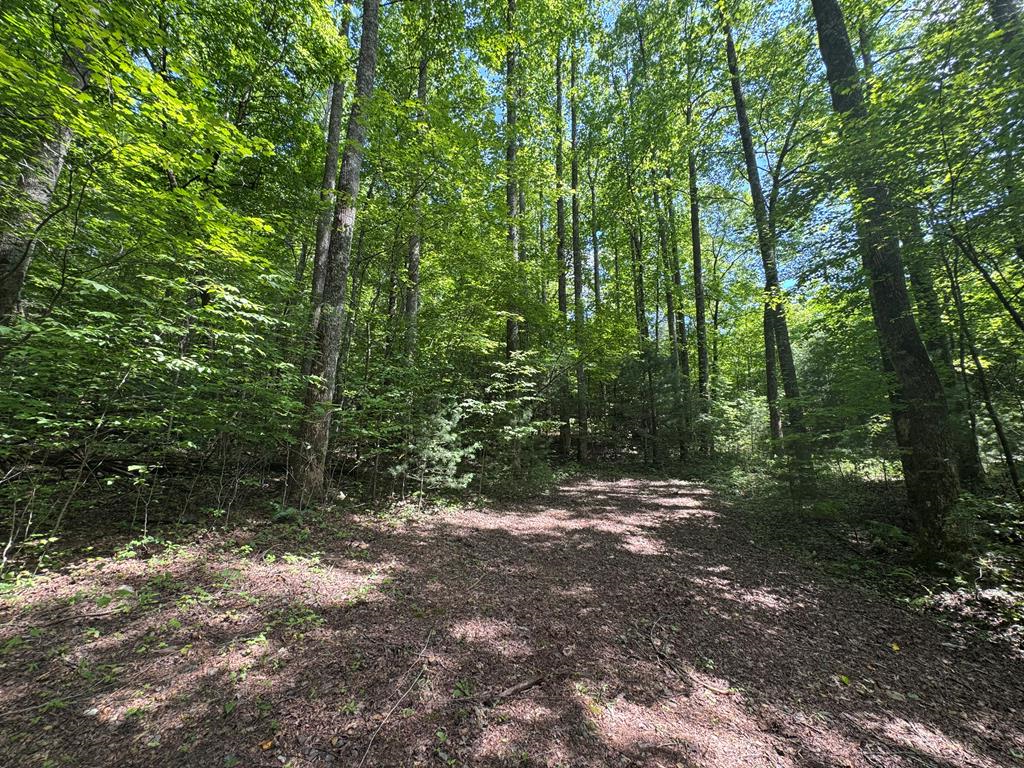 0000 Big Creek Road Property Photo 20