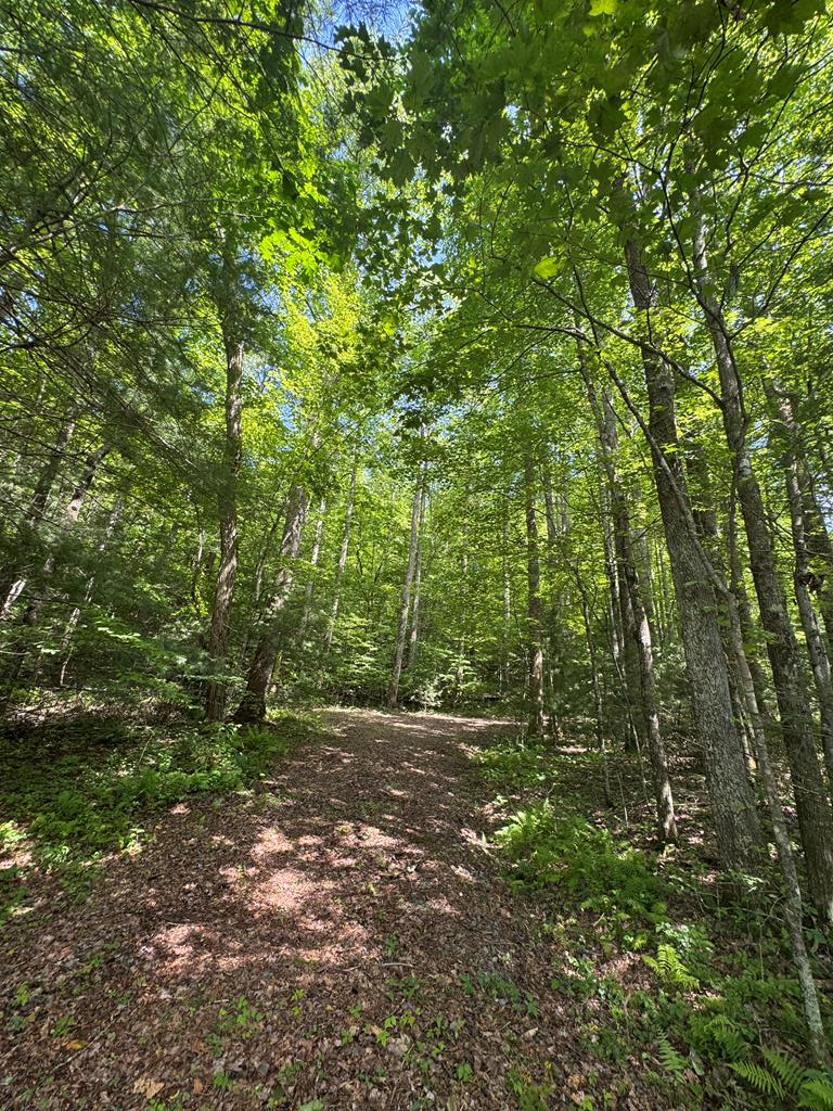 0000 Big Creek Road Property Photo 22