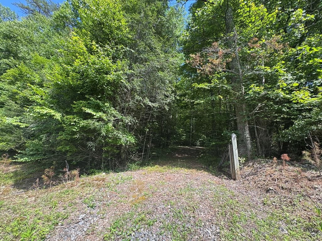 0000 Big Creek Road Property Photo 23