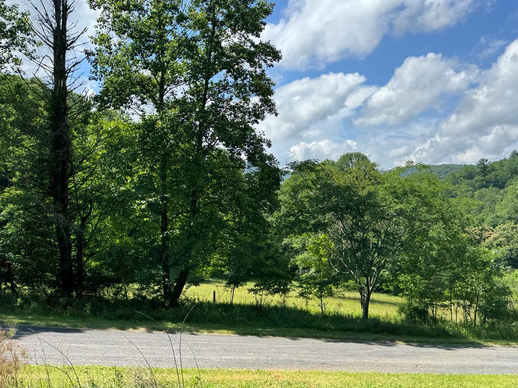 0000 Big Creek Road Property Photo 25