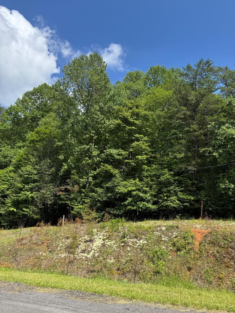 0000 Big Creek Road Property Photo 28