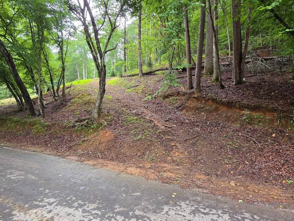Lot 644 Property Photo 1