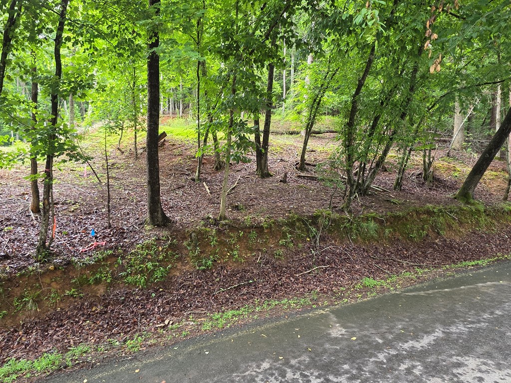 Lot 644 Property Photo 3