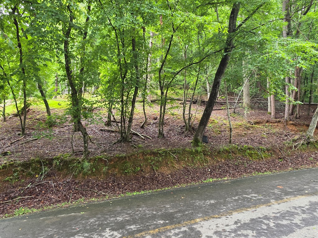 Lot 644 Property Photo 4