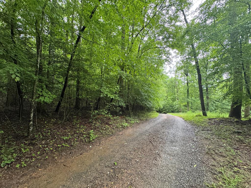 1.23 Ac Bear Run Circle Property Photo 1