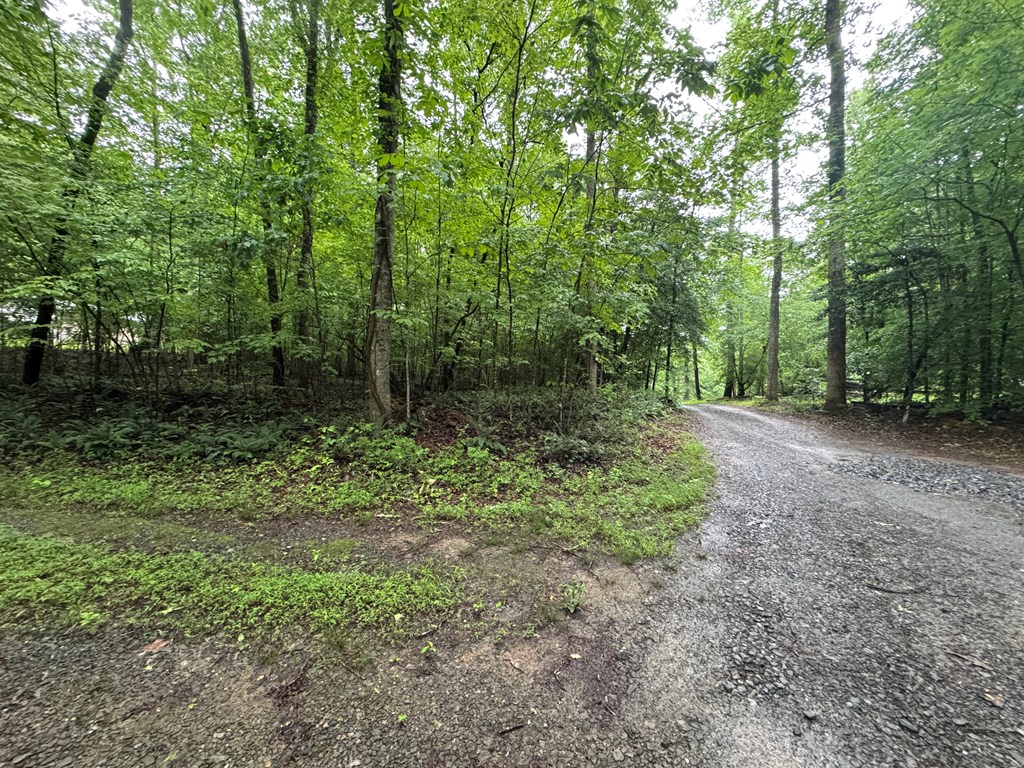 1.23 Ac Bear Run Circle Property Photo 2