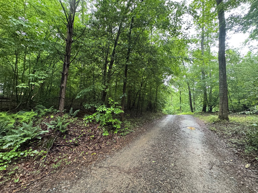 1.23 Ac Bear Run Circle Property Photo 3