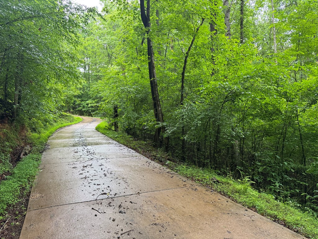 1.23 Ac Bear Run Circle Property Photo 5