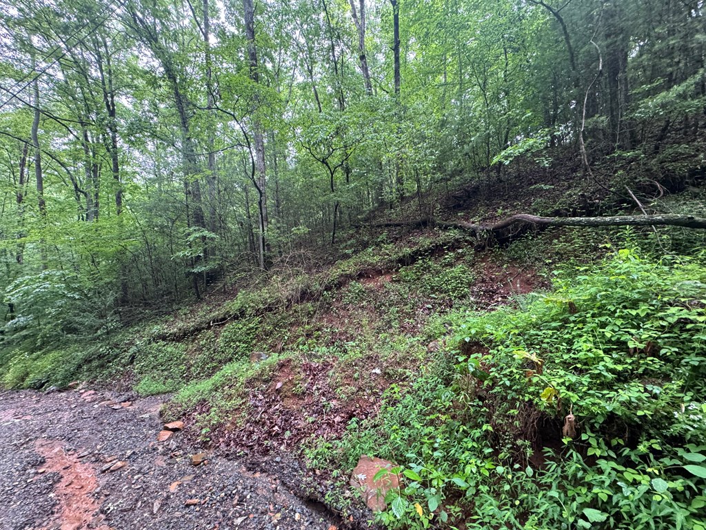 1.23 Ac Bear Run Circle Property Photo 7