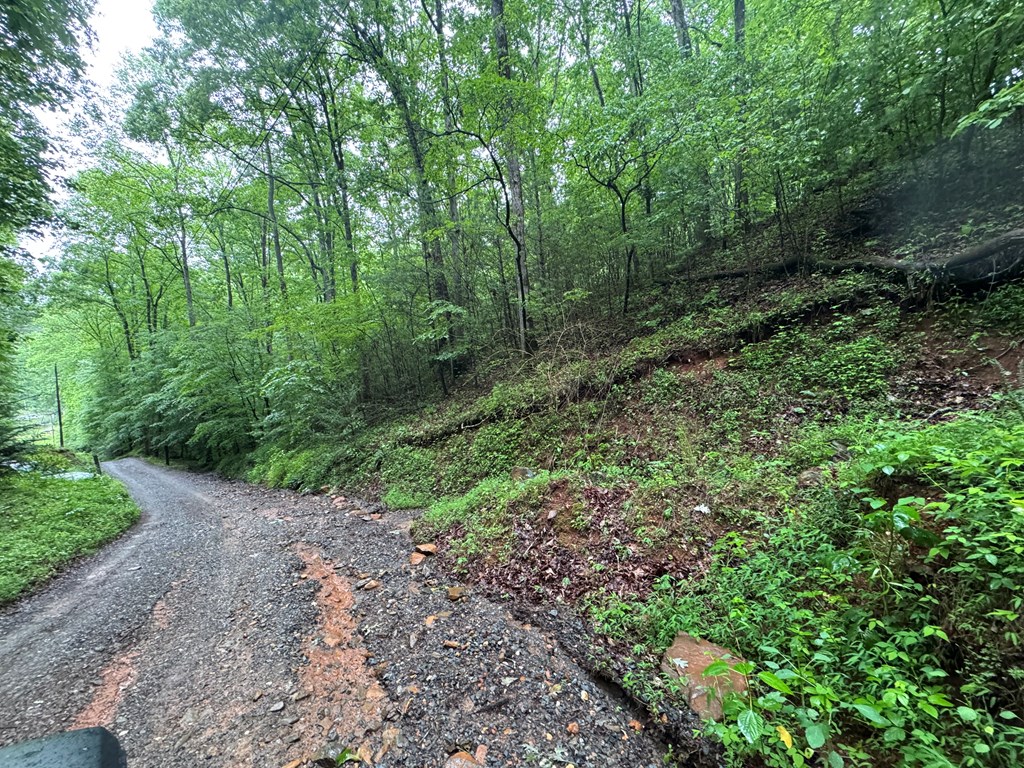 1.23 Ac Bear Run Circle Property Photo 8