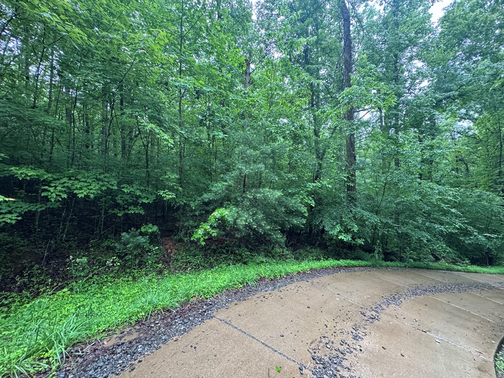 1.23 Ac Bear Run Circle Property Photo 9