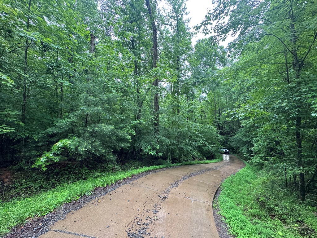1.23 Ac Bear Run Circle Property Photo 10