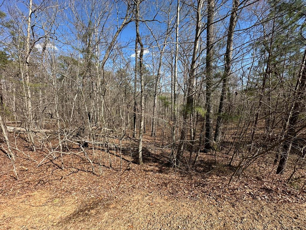 Lot 33 Harris Creek Drive Property Photo 2
