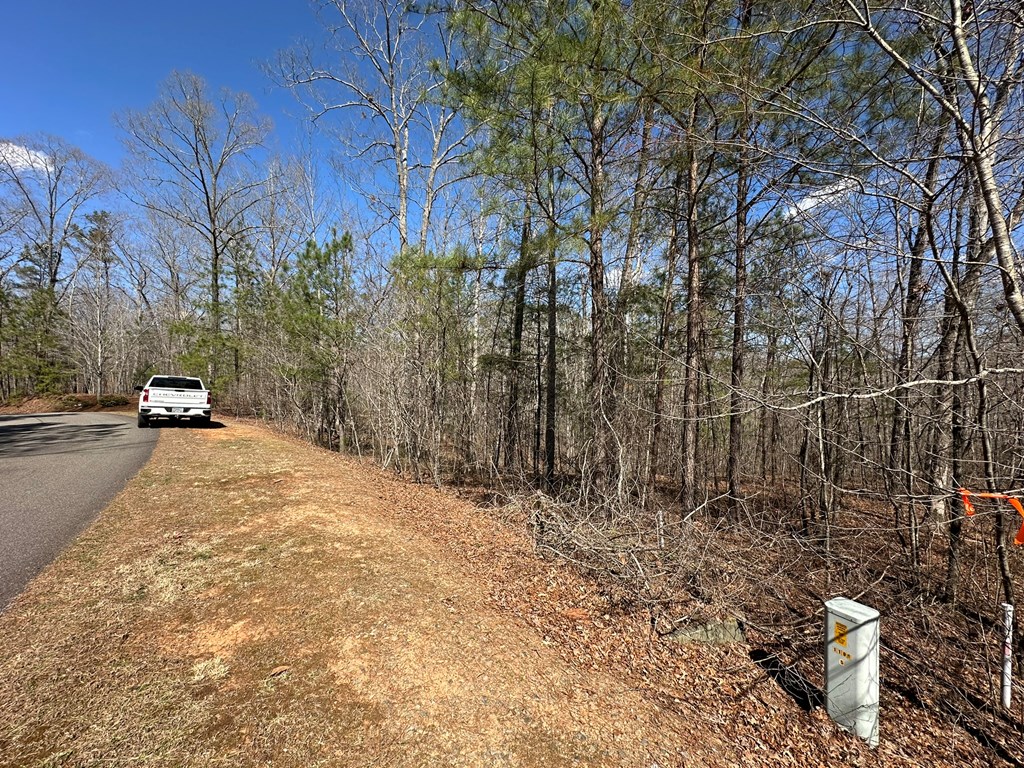 Lot 33 Harris Creek Drive Property Photo 3