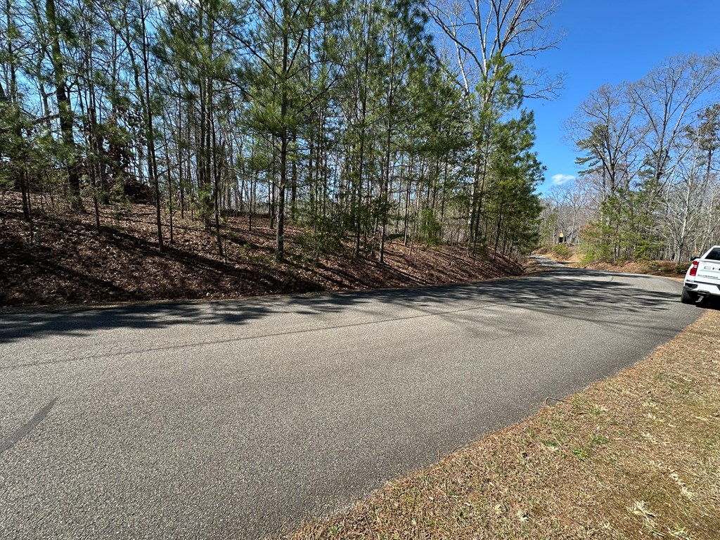 Lot 33 Harris Creek Drive Property Photo 4