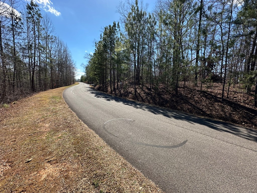Lot 33 Harris Creek Drive Property Photo 5
